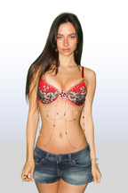 Cheetah Cherry Bra Top